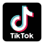 TikTok Icon