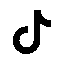 TikTok Icon